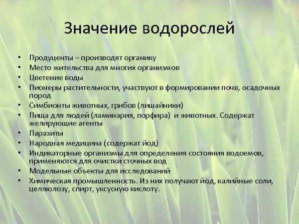 Водоросли в природе и жизни человека