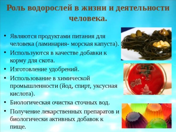 Хлорелла и ламинария