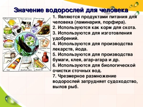 Человек в водорослях