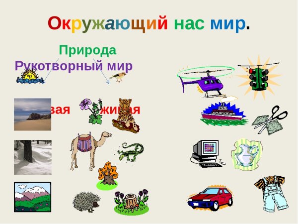 Рукотворный и природный мир