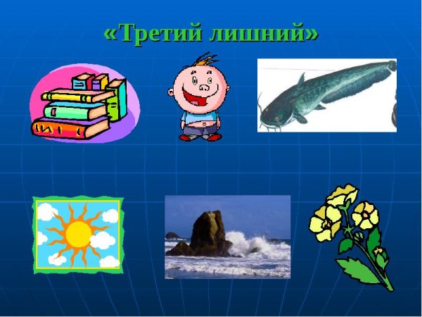Предметы природного мира