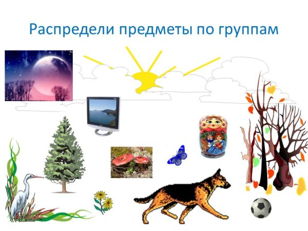Предметы природы и рукотворного