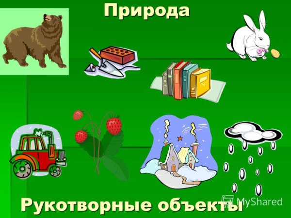 Природные и рукотворные предметы
