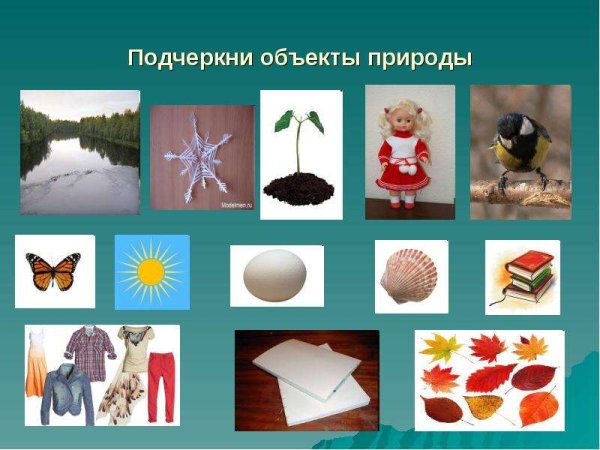 Рукотворные предметы