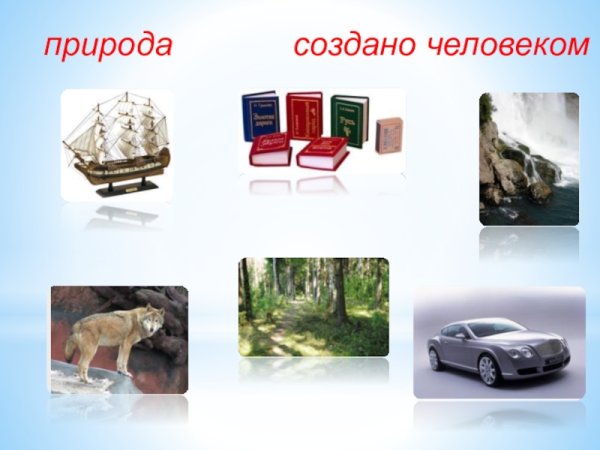 Предметы созданные руками человека