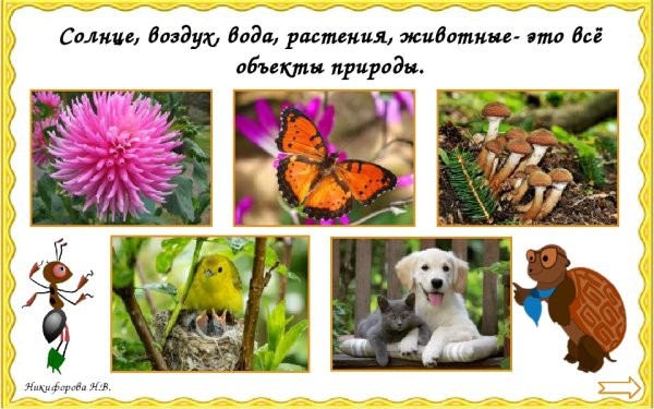 Дидактическая игра по природному и рукотворному миру