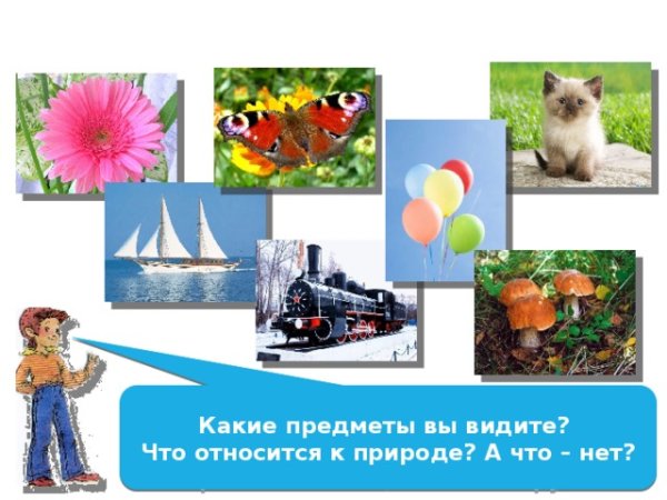 Живая и неживая природа 2 класс окружающий мир рабочая тетрадь