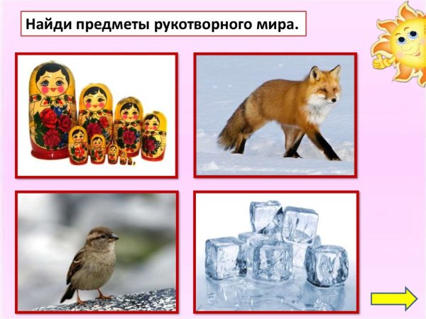 Предметы природного мира