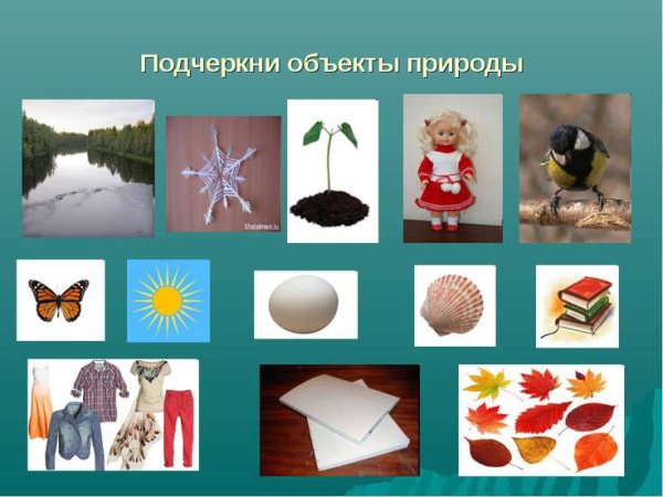 Предметы сделанные руками человека