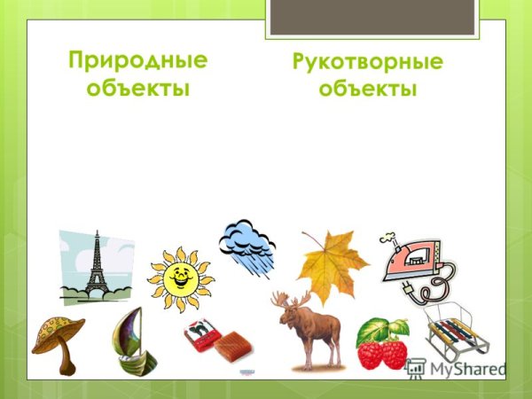 Нерукотворный мир для дошкольников