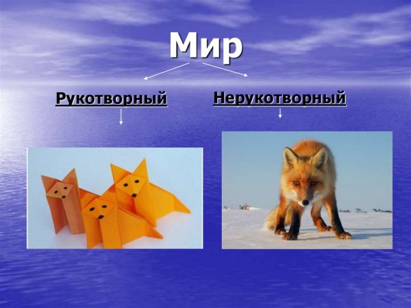 Природные и рукотворные предметы