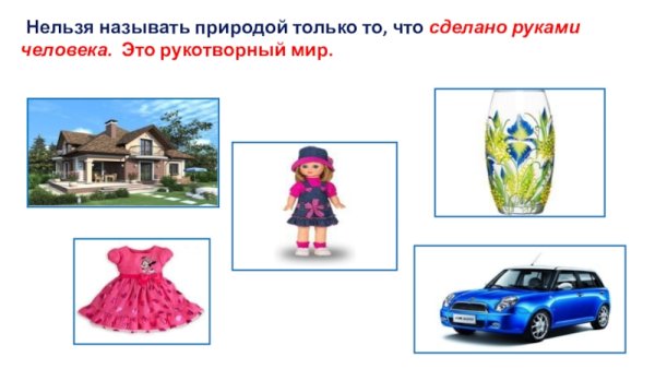 Живая природа для детей дошкольного возраста