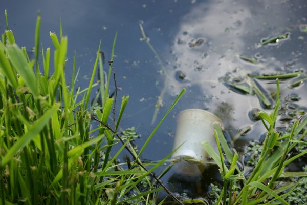 Экология воды