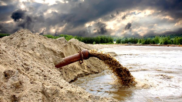 Экология воды