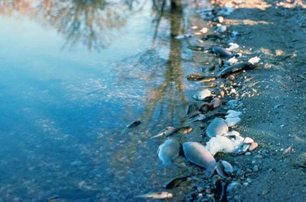 Загрязнение воды мусором