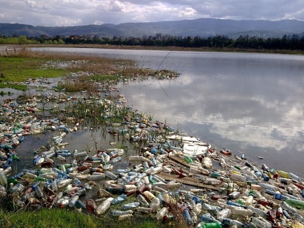 Загрязнение окружающей воды