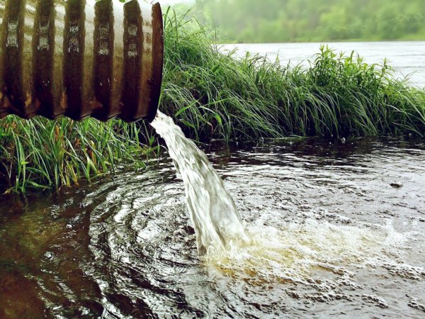 Органическое загрязнение воды