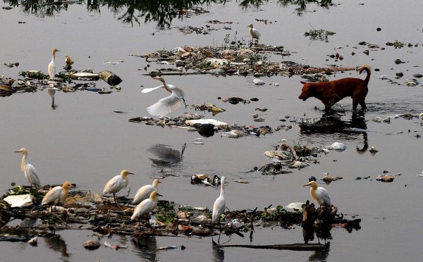 Загрязненная вода