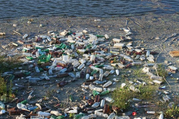 Озеро Карачай загрязнение водоемов