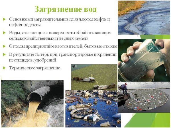 Биологическое загрязнение