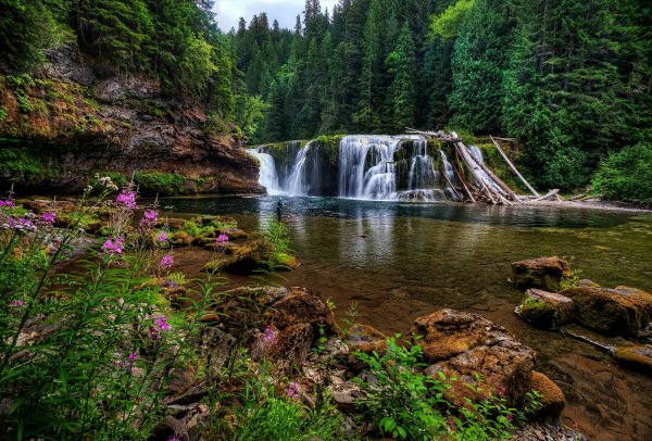 Красивая природа