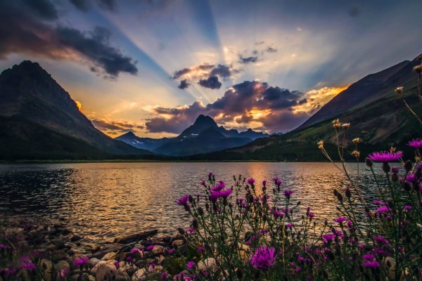 Природа в картинках
