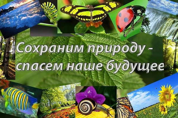 Сохраним живую природу