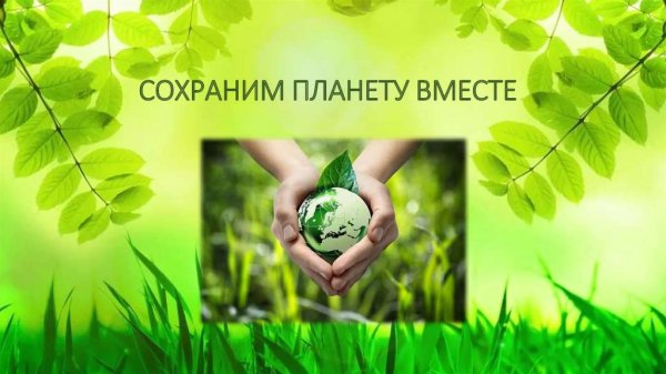 Сохраним природу вместе