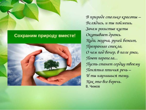 Берегите природу
