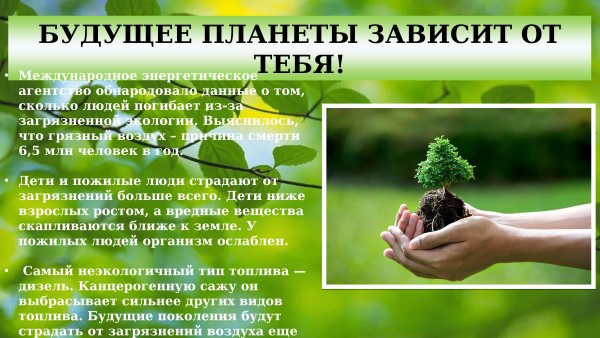 Лозунги про экологию