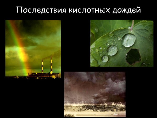 Кислотные осадки последствия