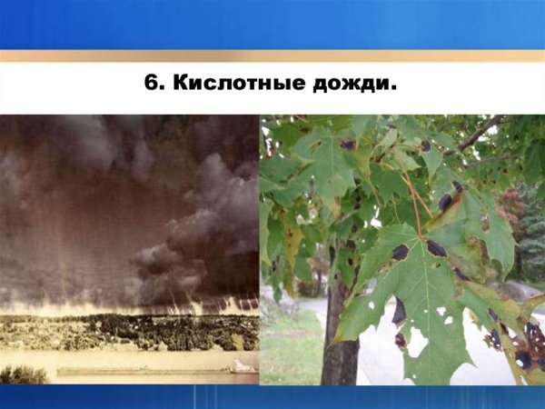 Кислотные дожди