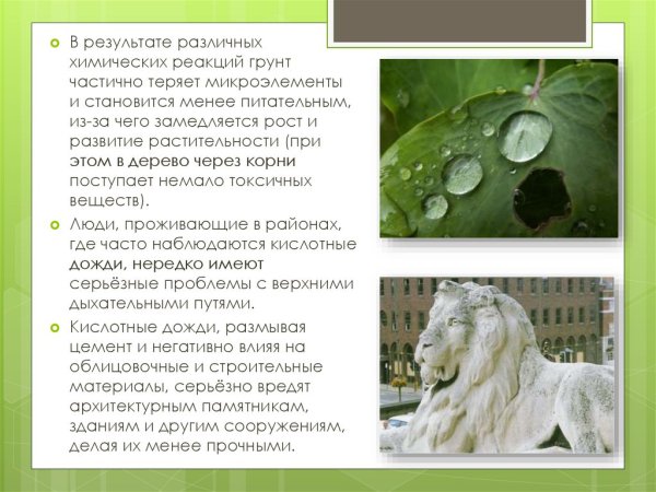 Кислотные дожди презентация