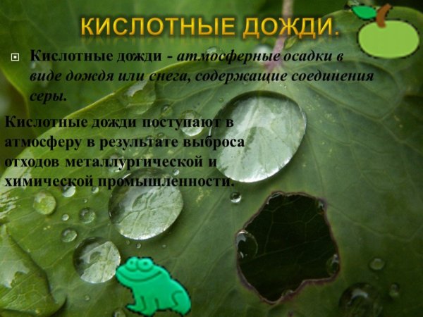 Кислотные дожди презентация