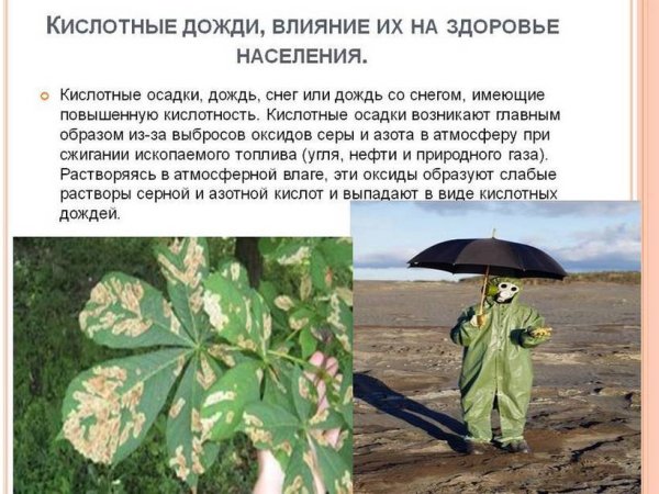 Последствия воздействия кислотных осадков