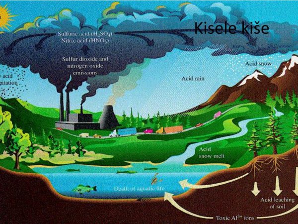 Круговорот кислотных дождей