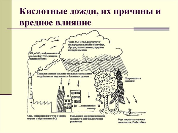Влияние кислотных осадков