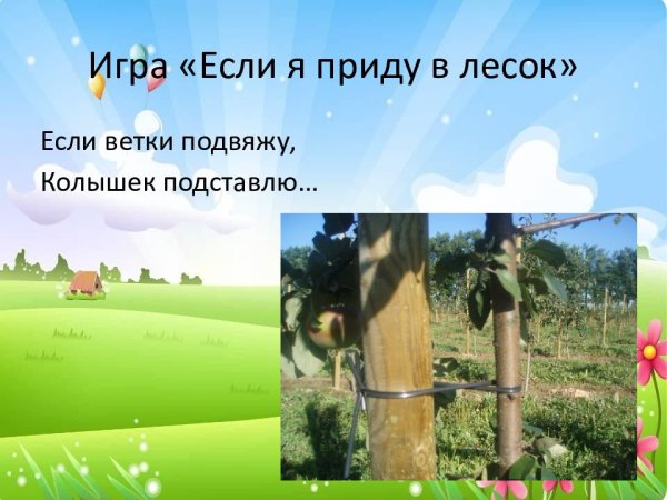 Если я приду в лесок