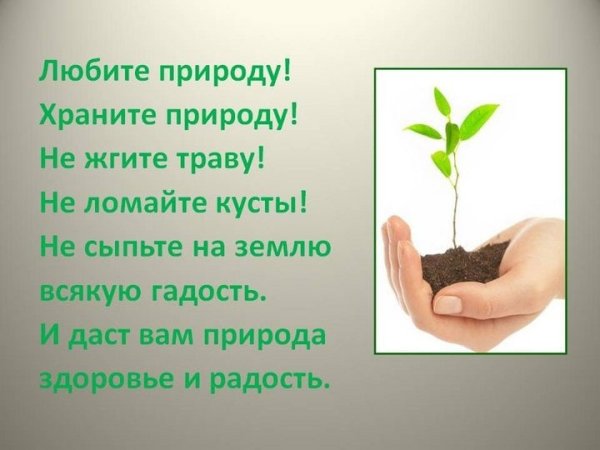 Человек и природа рисунок