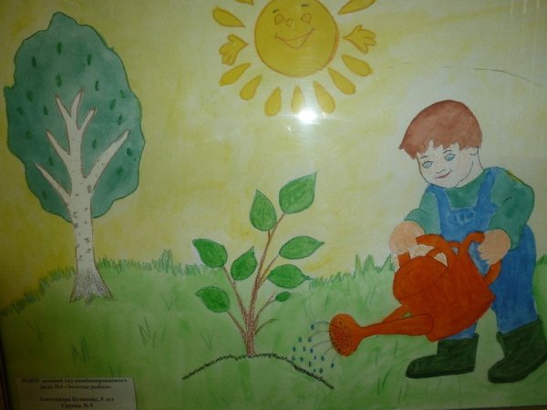 Как я помогаю природе