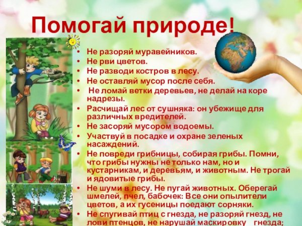 Бережное отношение к природе