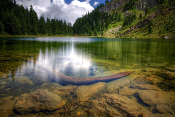 Вода в природе