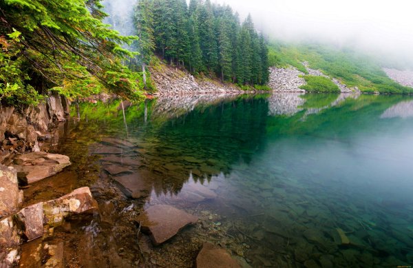 Красивый берег озера