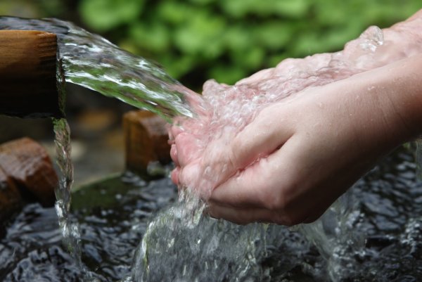Питьевые Минеральные воды из источника