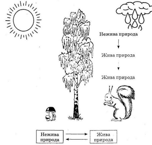 Лето задания для дошкольников