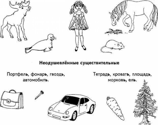 Природа задания для дошкольников