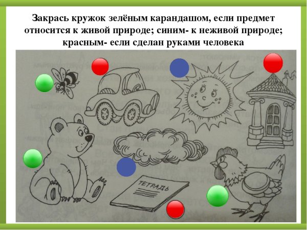 Живая и неживая природа задания для дошкольников