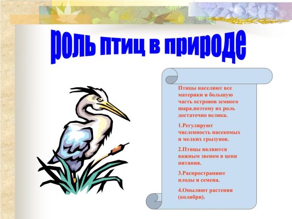 Роль птиц в природе