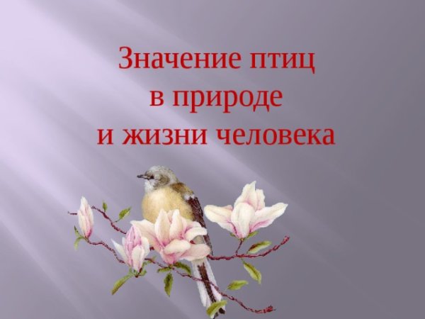 Значение птиц в природе