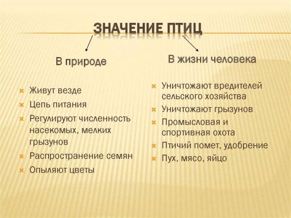 Презентация на тему роль птиц в жизни человека